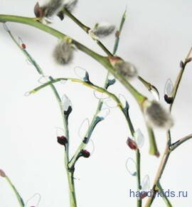 Цветы ивы -рисунок с натуры
