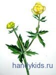 flowers 3 028