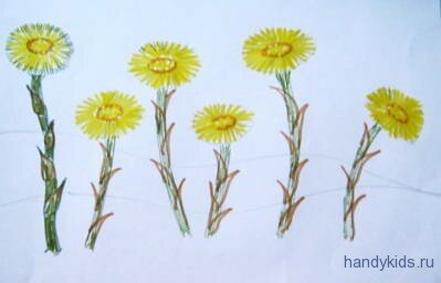 Раскрашиваем раскраску мать-и-мачеха
