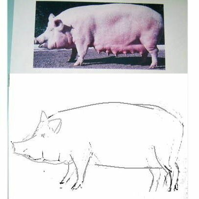 Рисуем свинью