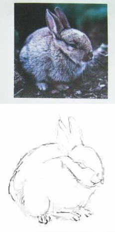 Как нарисовать зайчика