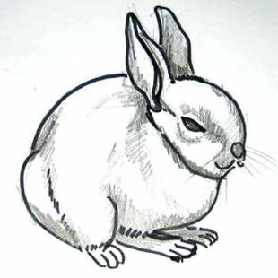 Рисунок Зайчик