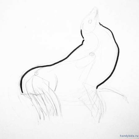 Поэтапный рисунок морского котика