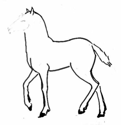 Рисуем жеребёнка -3