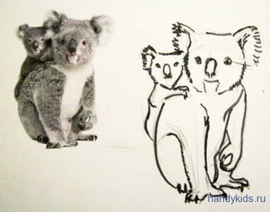 Коала с детёнышем рисунок