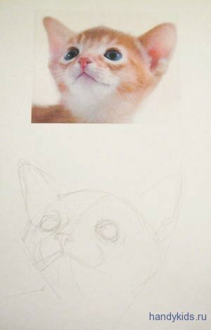Нарисуем мордочку котёнка