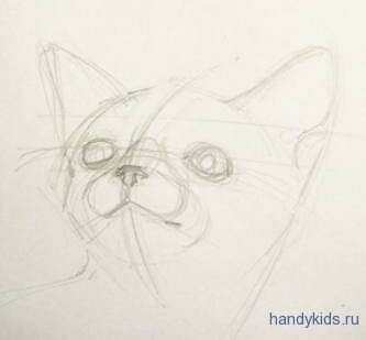 Рисуем голову котёнка.