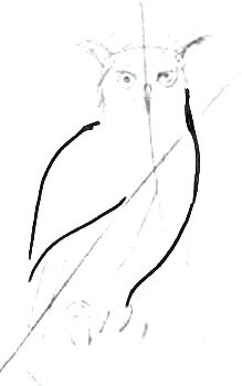 Рисуем филина