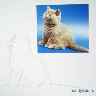 Нарисуем котика