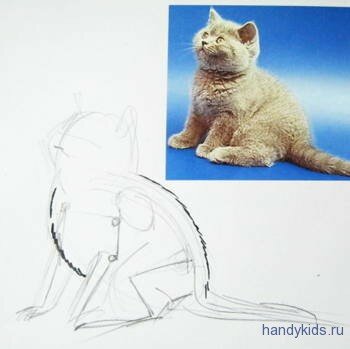 Как рисовать котёнка