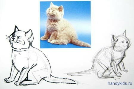 Котёнок рисунок