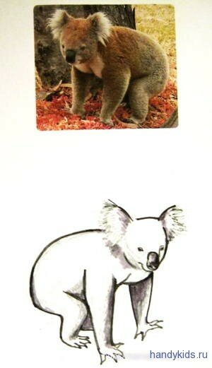 Нарисуем коалу