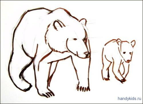 Как нарисовать медведя