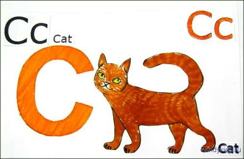 C-cats 011