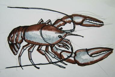 Речной рак рисунок