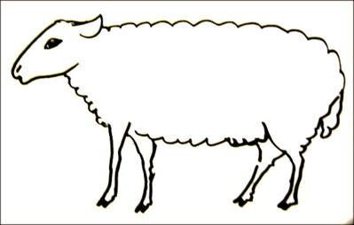 Sheep coloring page