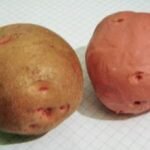 Лепка — картошка из пластилина