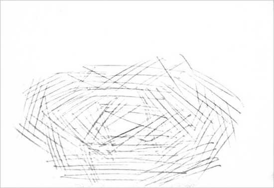Рисунок Гнездо