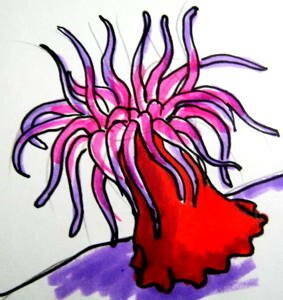 Рисунок Актиния