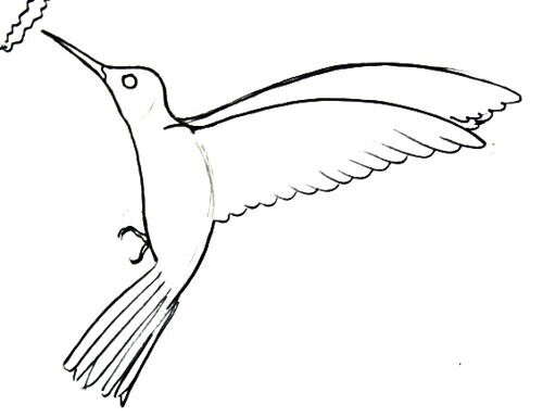 Рисунок колибри