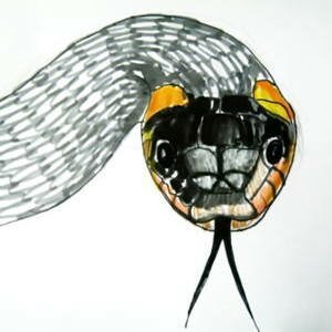 Рисунок голова ужа