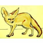Как нарисовать фенека и раскраска фенёк