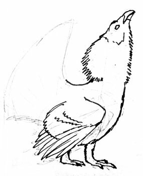 Рисуем голову глухаря